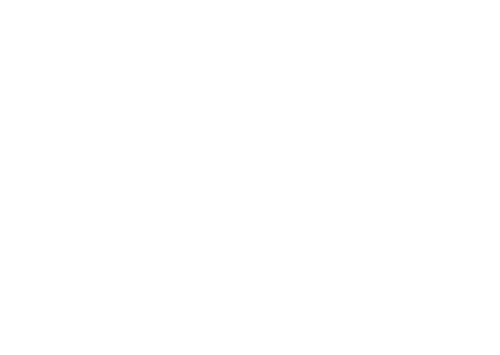 Envisage